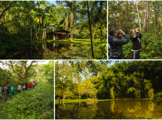 The Varginha Municipal Natural Park (PNM Varginha) is located in the Chácara Santo Amaro neighborhood, Grajaú District, in the South Zone of the city of São Paulo. Pictures: SVMA. 
