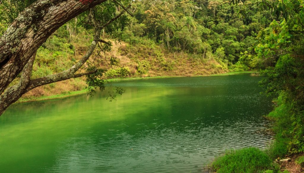 The PNM Jaceguava is located in the extreme south of the municipality of São Paulo in the district of Parelheiros, approximately 35 km from the central region of the state capital. Photo: SMVMA.