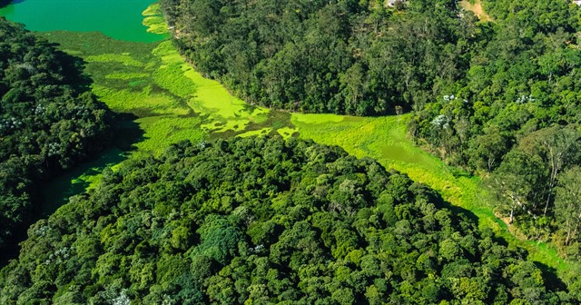 PNM Bororé is the result of the environmental compensation resources related to the licensing of the southern stretch of the Rodoanel Mário Covas. Photo: SMVMA.
