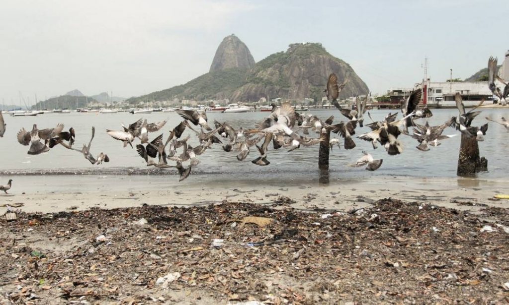 Botafogo Beach seems to have become a sewage depot, supplied by decades of broken promises and abandoned projects to clean up Guanabara Bay. (Photo internet reproduction)