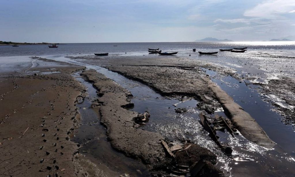 Sepetiba Bay, home of the Grey Boto