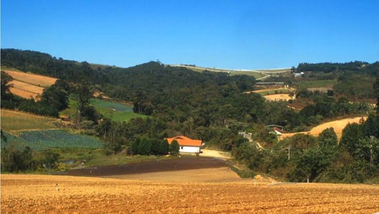 Internet access in the countryside is one of the main challenges of Brazilian agribusiness.