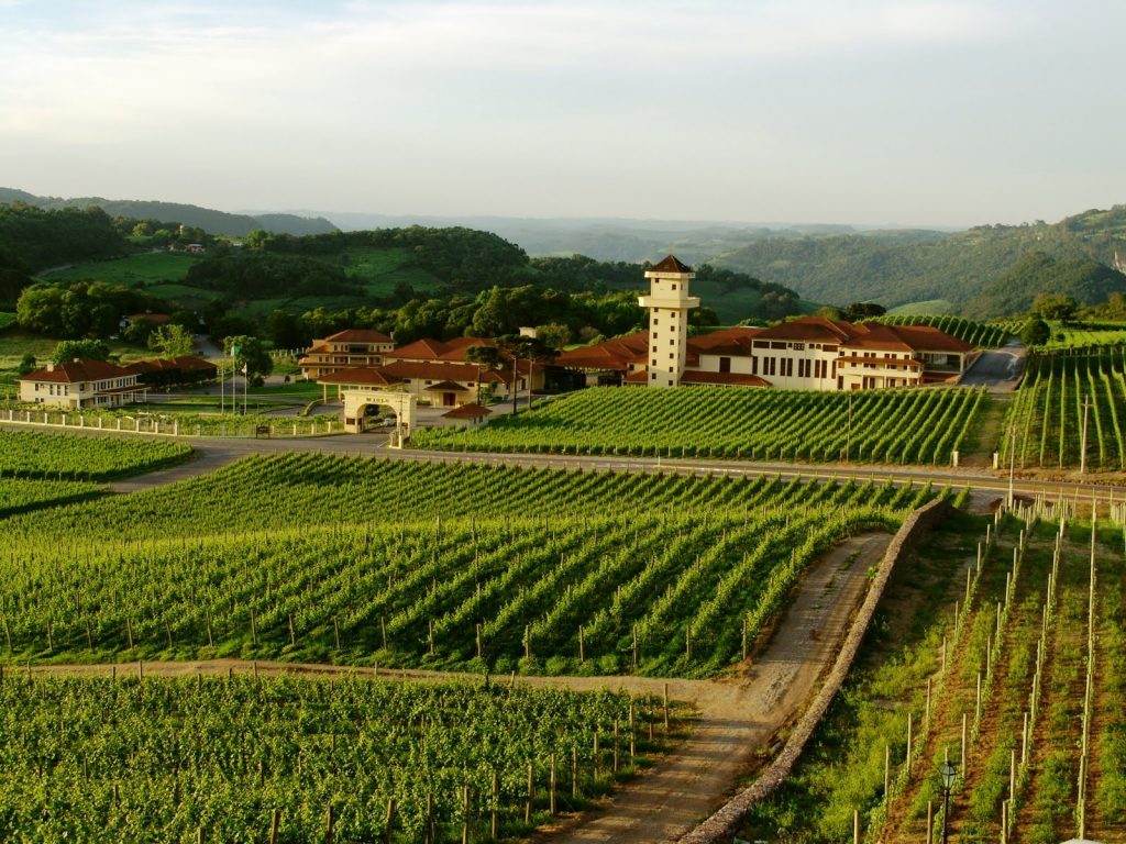 On the way through Vale dos Vinhedos, don't miss a visit to Miolo, another great winery in the city that maintains the Wine School