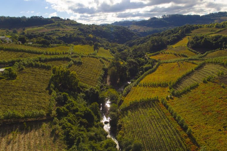 Discover Brazil’s ‘Wine Capital’ in Its Southernmost State