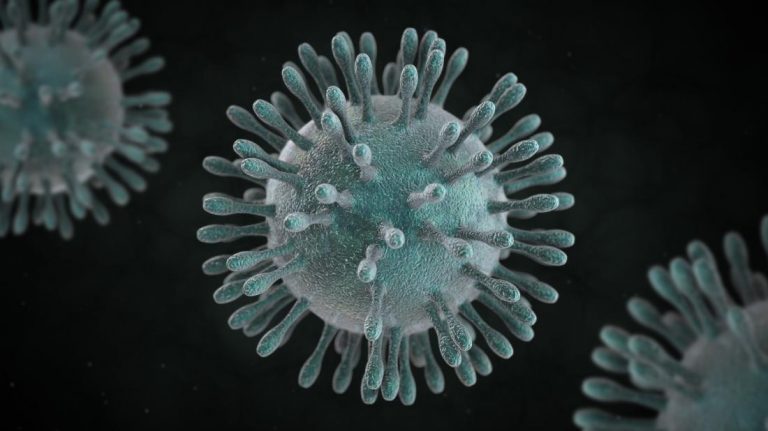 Brazilian Health Ministry Confirms Nine Suspected Cases of Coronavirus in Six States