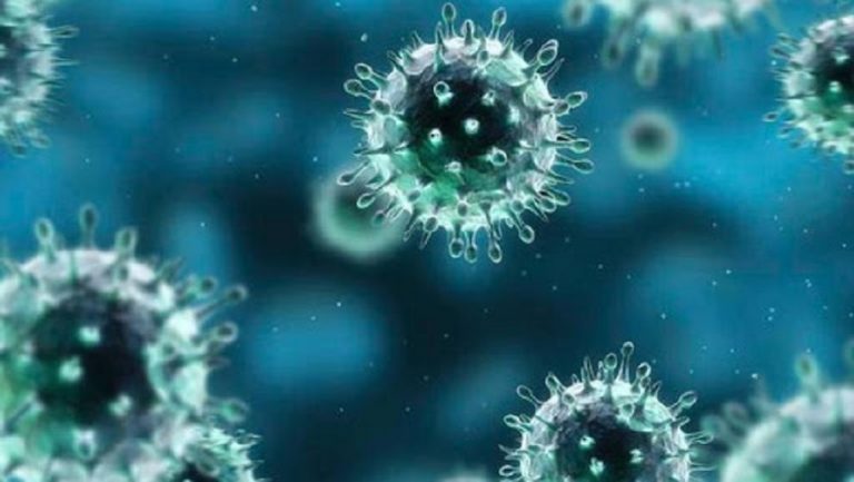 Suspected Cases of Coronavirus Climb to 12 in Brazil