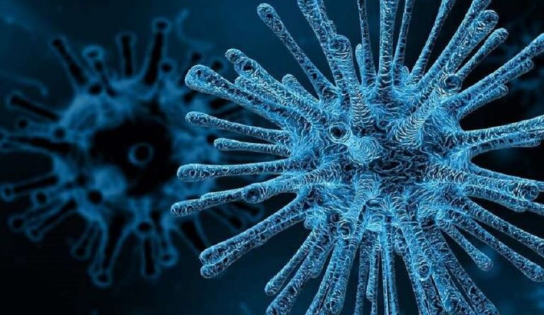 Italy Announces Successful Isolation of Deadly Coronavirus