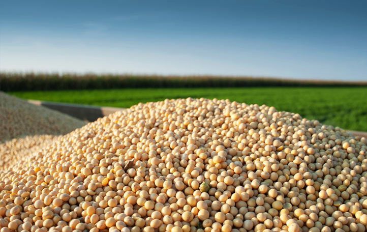 Argentina, in addition to meeting Iran's main food needs, remained neutral in the Persian country's conflict with Americans.