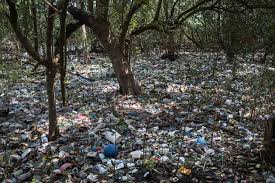 The region is the main source of public supply for the eastern portion of the metropolitan region of Rio de Janeiro, which serves some two million people, but which today is suffering from pollution and water shortages in times of drought.