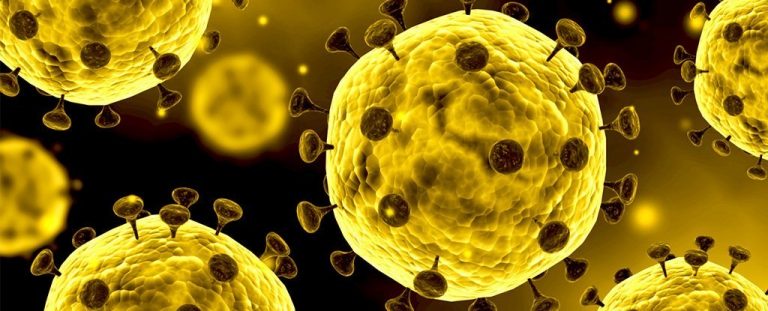 WHO Raises Coronavirus Level of Global Contagion to “Very High”