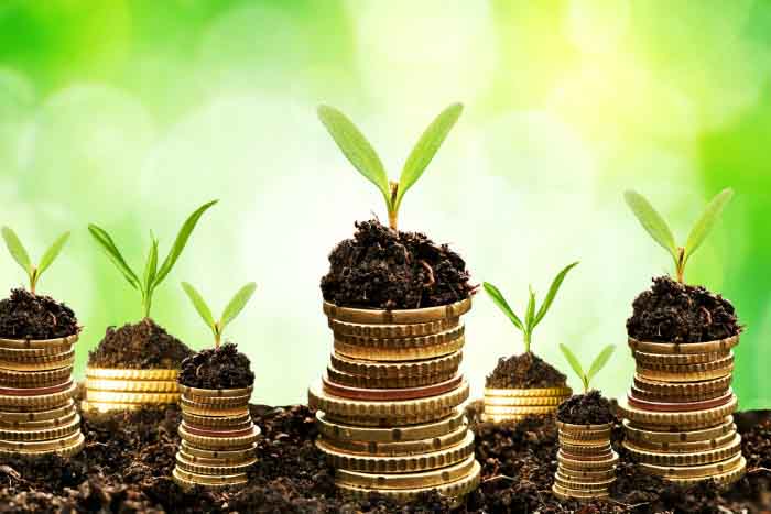 finanças verdes