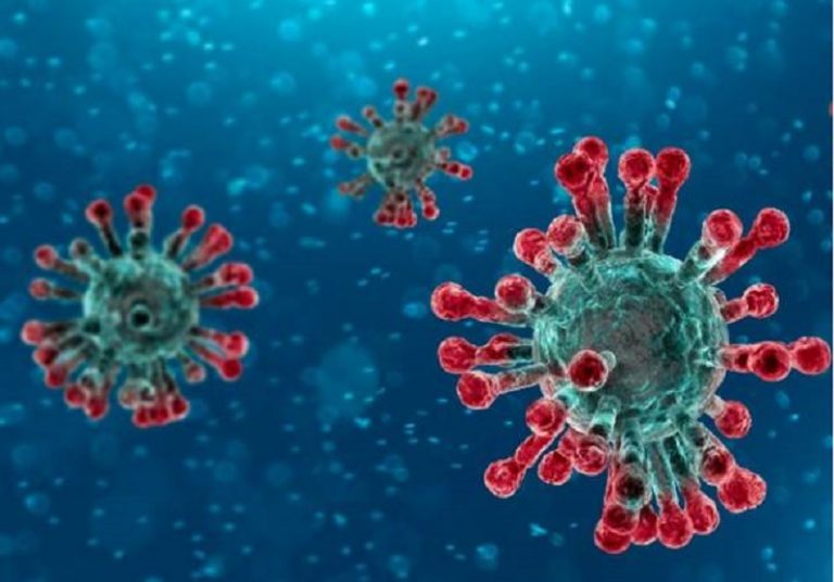 Brazil Reports 13 Confirmed Cases of New Coronavirus