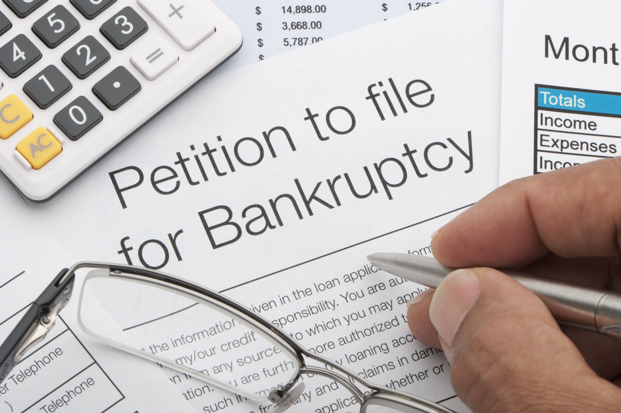 Bankruptcy petition
