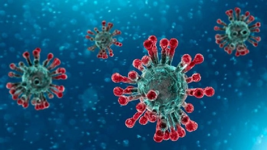 The viral load of the novel coronavirus is a thousand times higher than its older sibling.