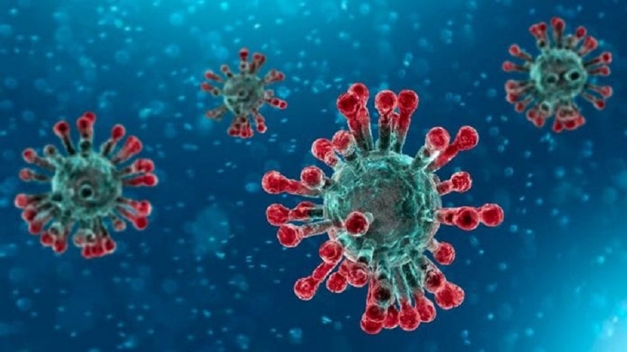 In February this year, groups from around the world determined that the novel coronavirus has a cell abduction technique similar to the virus that caused SARS in 2003.