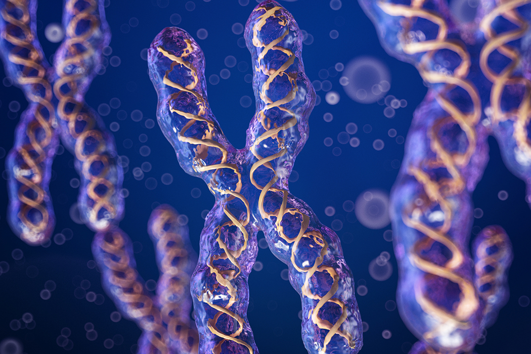 It's not about the gender, but rather about the chromosomes.