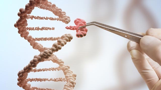 The San Francisco team developed a CRISPR molecule that contains three elements: the genetic sequences of two genes of the novel coronavirus, which serve as a guide; the Cas-12 protein, which serves as scissors; and a third fragment of fluorescent DNA, as published in Nature Biotechnology.