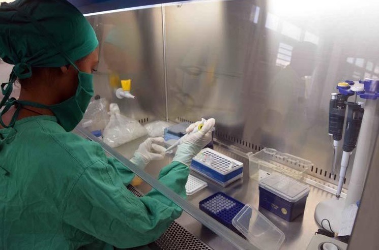 lab