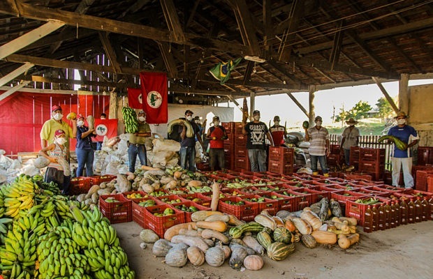 In Brazil, the "Landless Movement" (MST) is proving its ability to produce high-quality, healthy food free of toxic chemicals on its occupied lands far beyond its own needs.