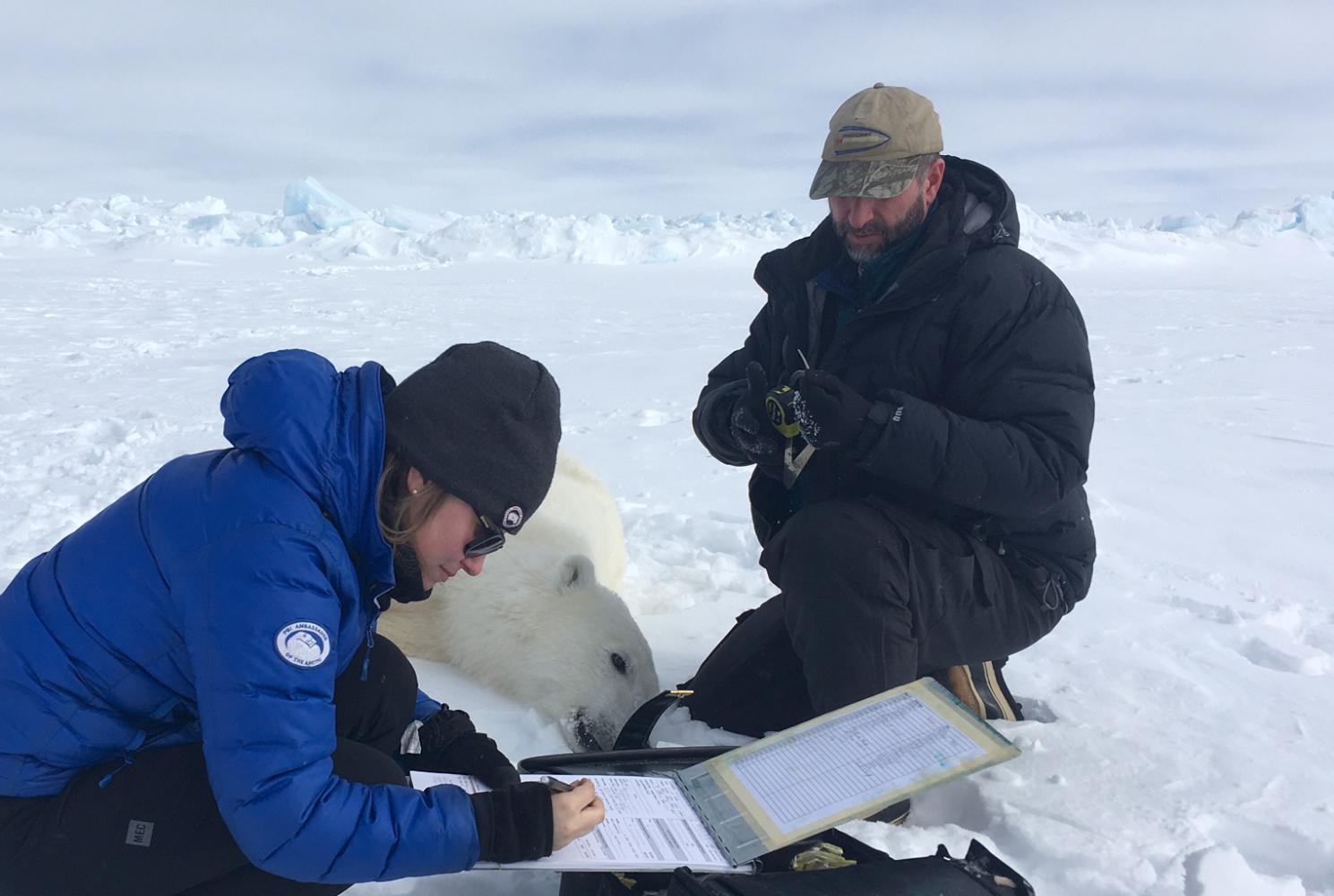 A review of the polar scientists' typical symptoms may sound very familiar: headaches, boredom, fatigue, lack of attention to personal hygiene, less motivation with "intellectual inertia" and weight gain caused by an increased appetite.