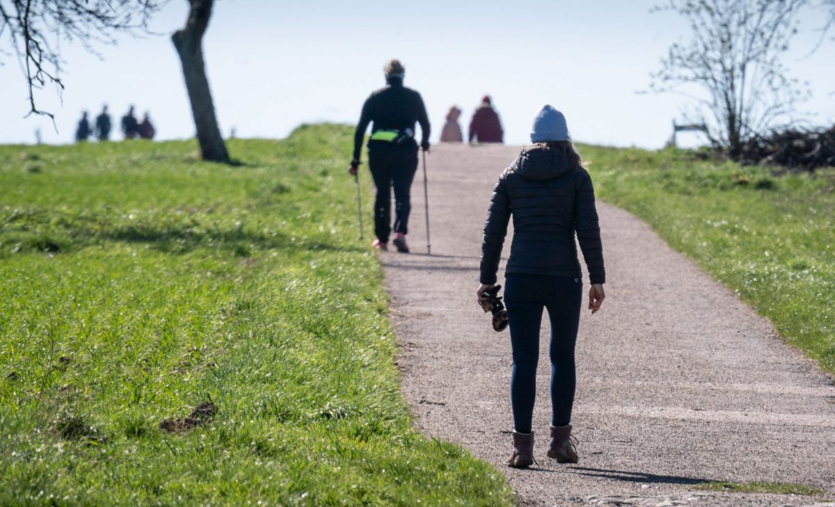 The world may collapse out there, but in Germany's parks and streets, the new normality is gaining ground.