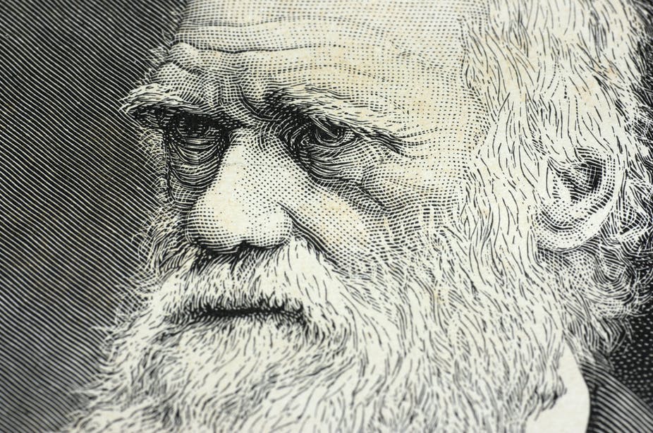 Any reader of Charles Darwin’s 1859 classic, ‘On the Origin of Species’ will be familiar with his theory of evolution, which argues that over time, every species evolves in ways that strengthen its competitive position, and only the fittest of the species survive