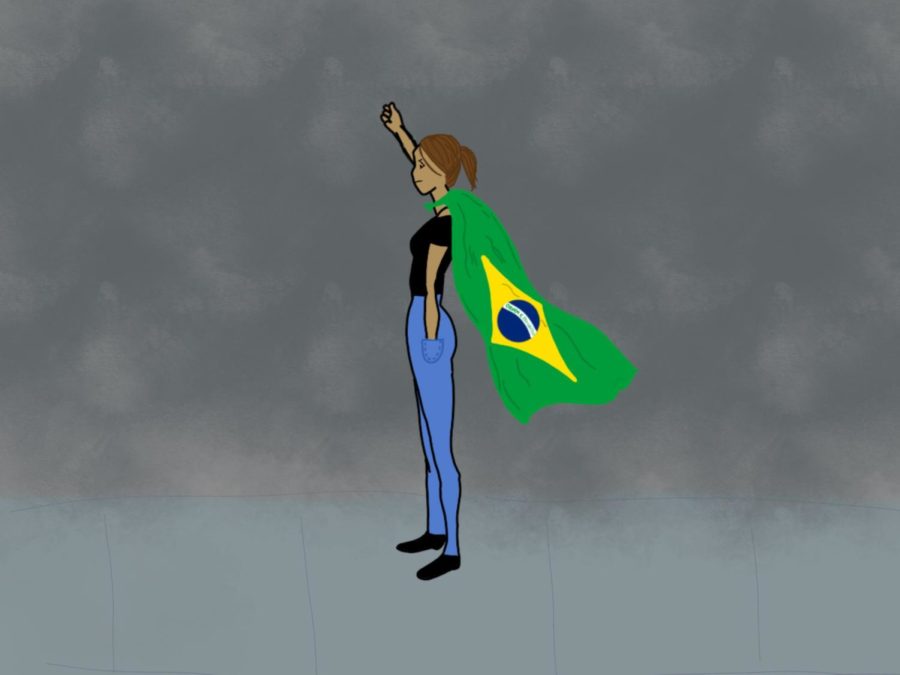 In less than a week, the Brazilian version of Sleeping Giants, a movement exposing companies that finance far-right and fake news websites through advertisement, has rattled social media by alerting companies of propaganda in unreliable channels and triggering reactions even among the upper echelons of Jair Bolsonaro's government.