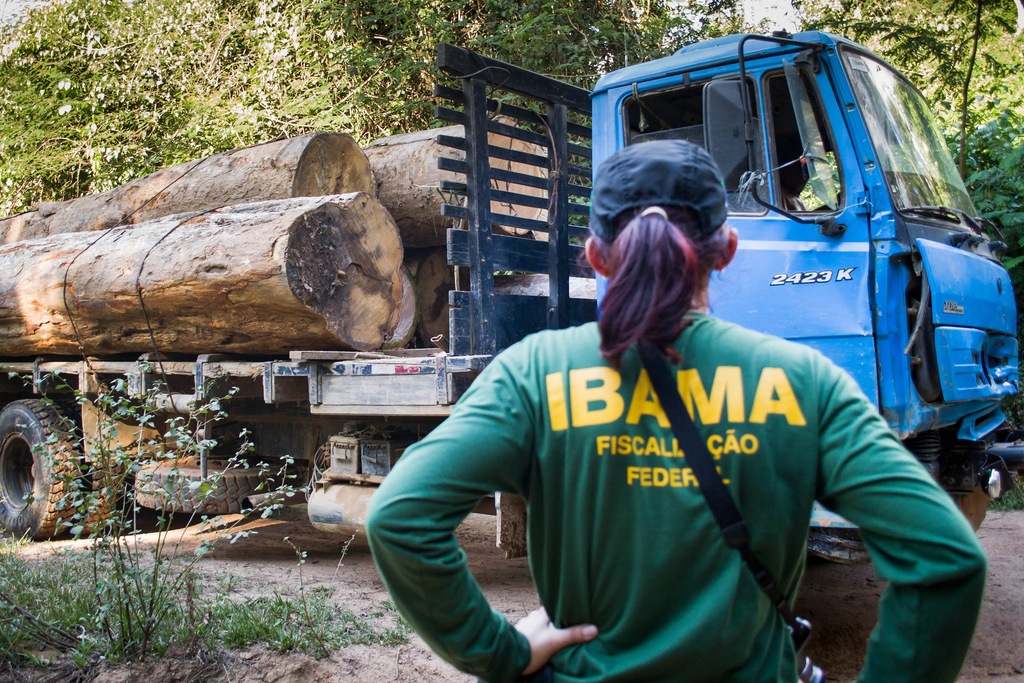 According to the National Institute of Space Research (INPE), there was an increase in the number of deforestation alerts in the Amazon in early 2020 compared to the same period last year.
