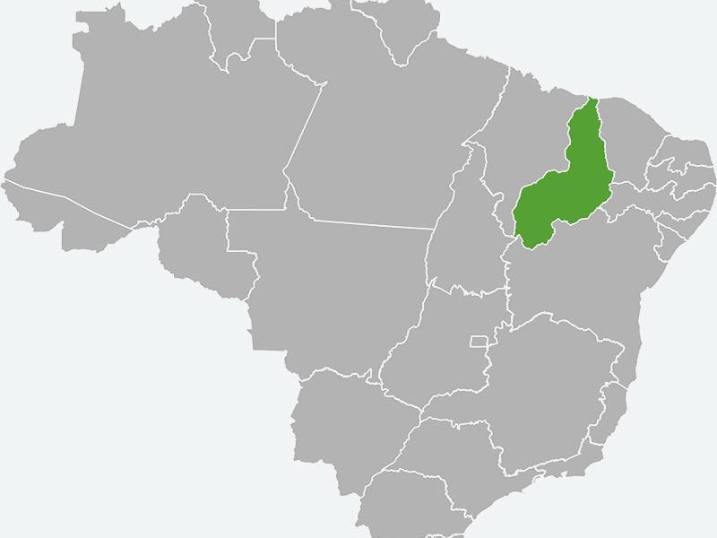 The State of Piauí in green.