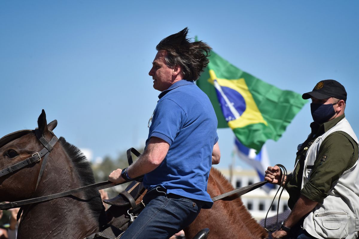 BlosnaroonHorse