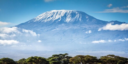 Faced with the challenges brought on by the pandemic, the President ought to log off from his social media for a while to focus on a short story by Ernest Hemingway. It's called 'The Snows of Kilimanjaro'.