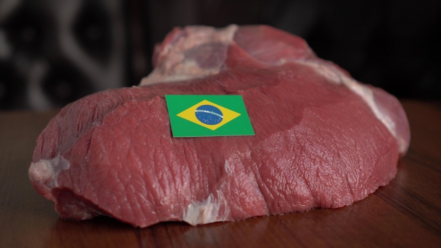 Brazilian beef exports rose 10 percent in November compared with October, mainly driven by purchases from China, setting a record for the year, the Brazilian Meat Packers Association (Abrafrigo) said on Monday, December 7th.