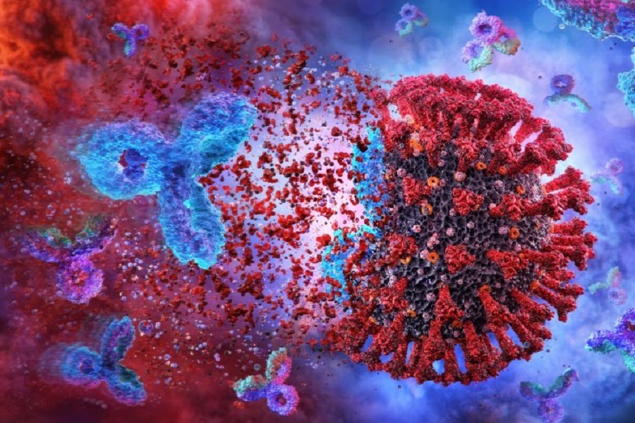 covid-19-antibody-therapy-750x500
