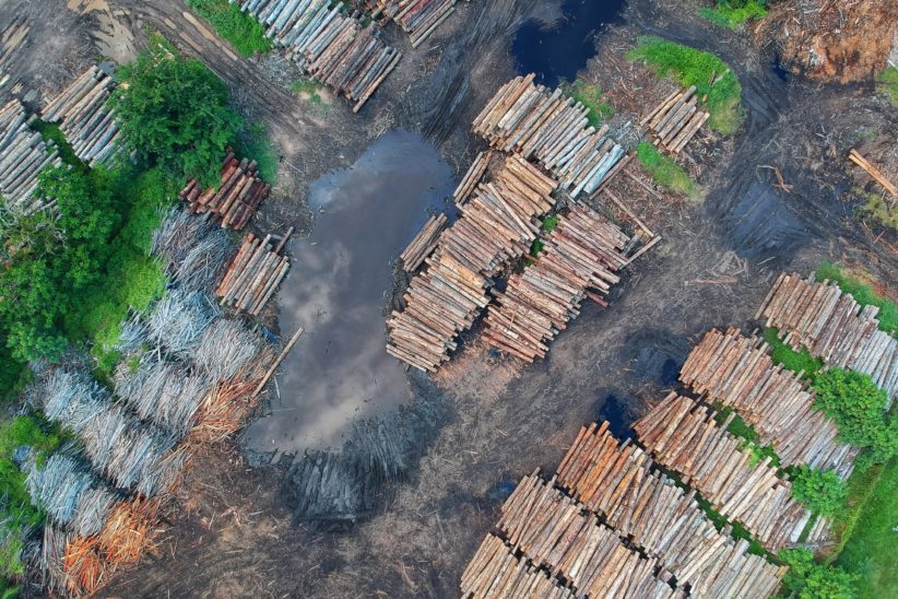 Deforestation in the legal Amazon. (Photo internet reproduction)