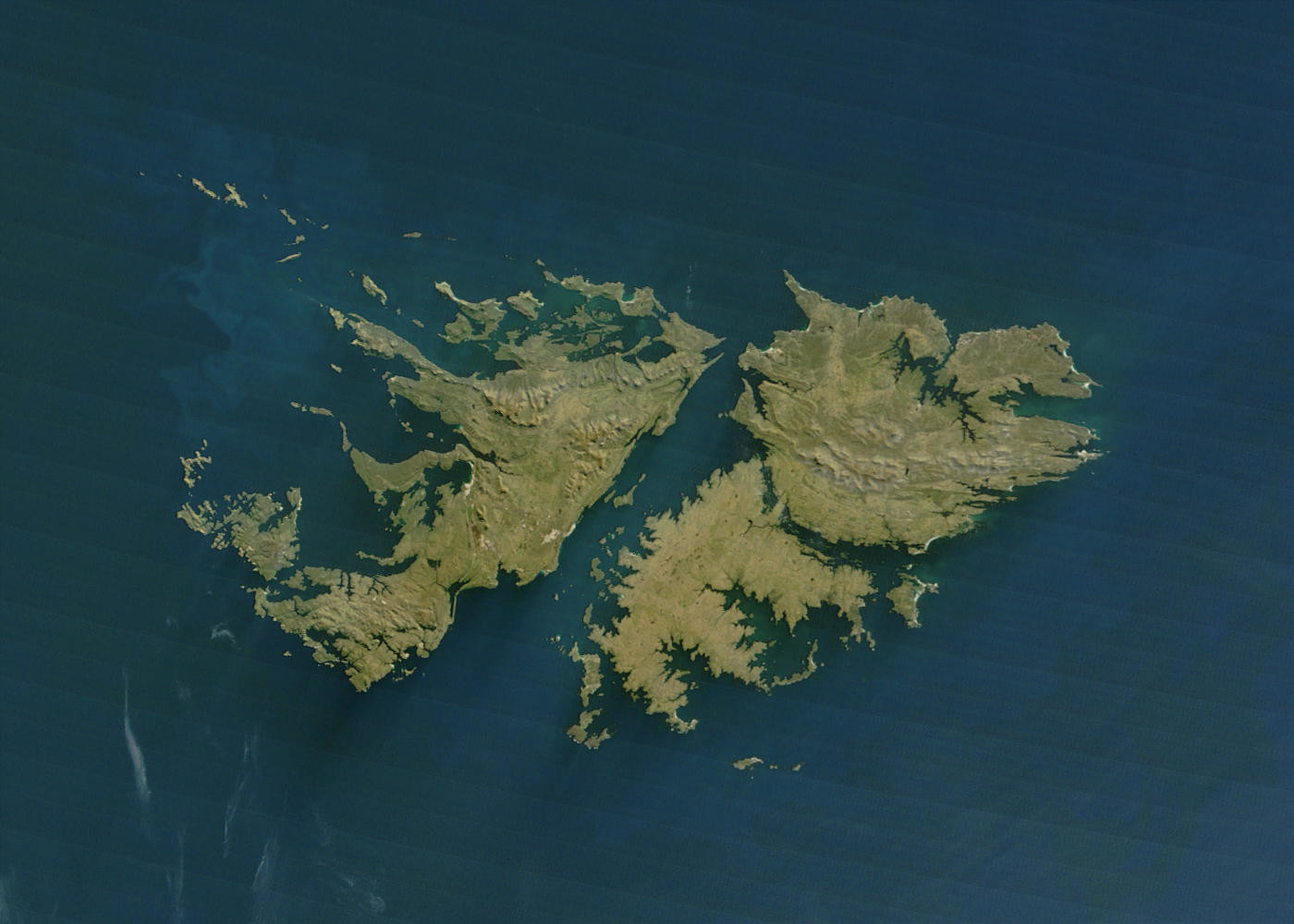 falkland