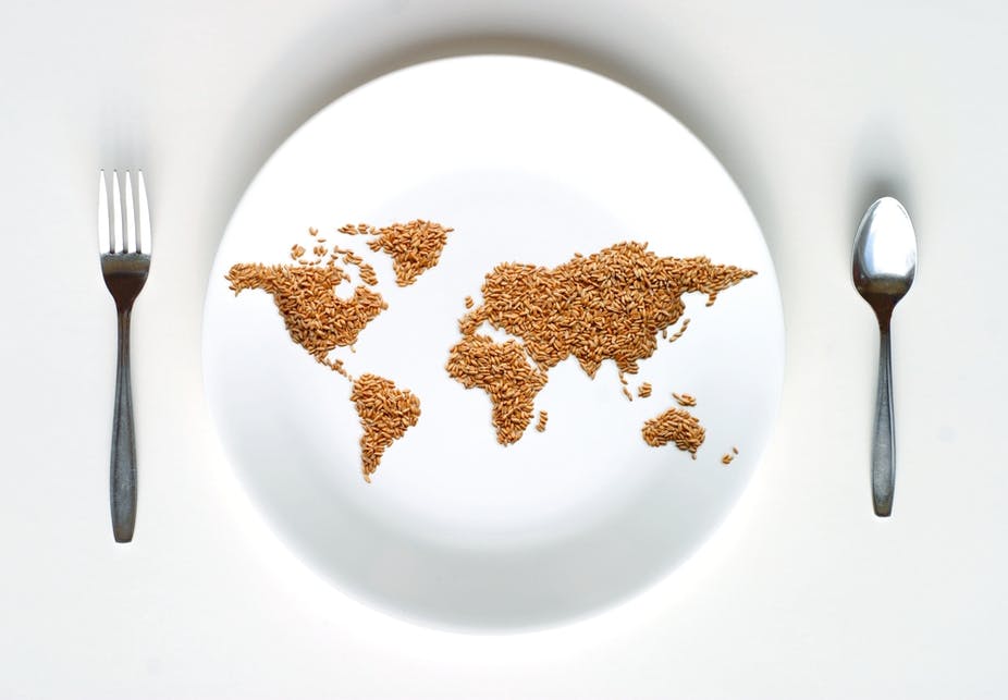 feed-the-world