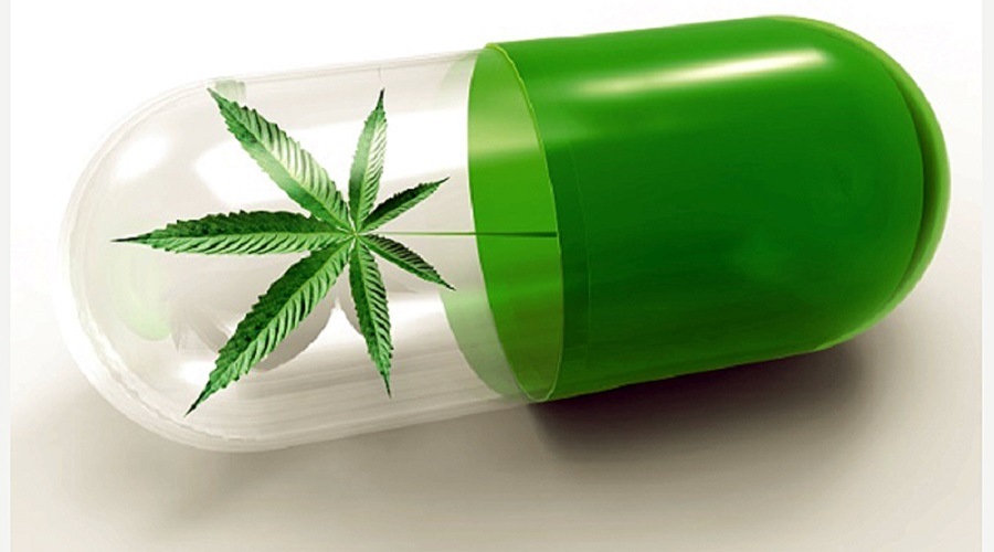 São Paulo Court Grants Couple Right to Grow Cannabis for Children Care