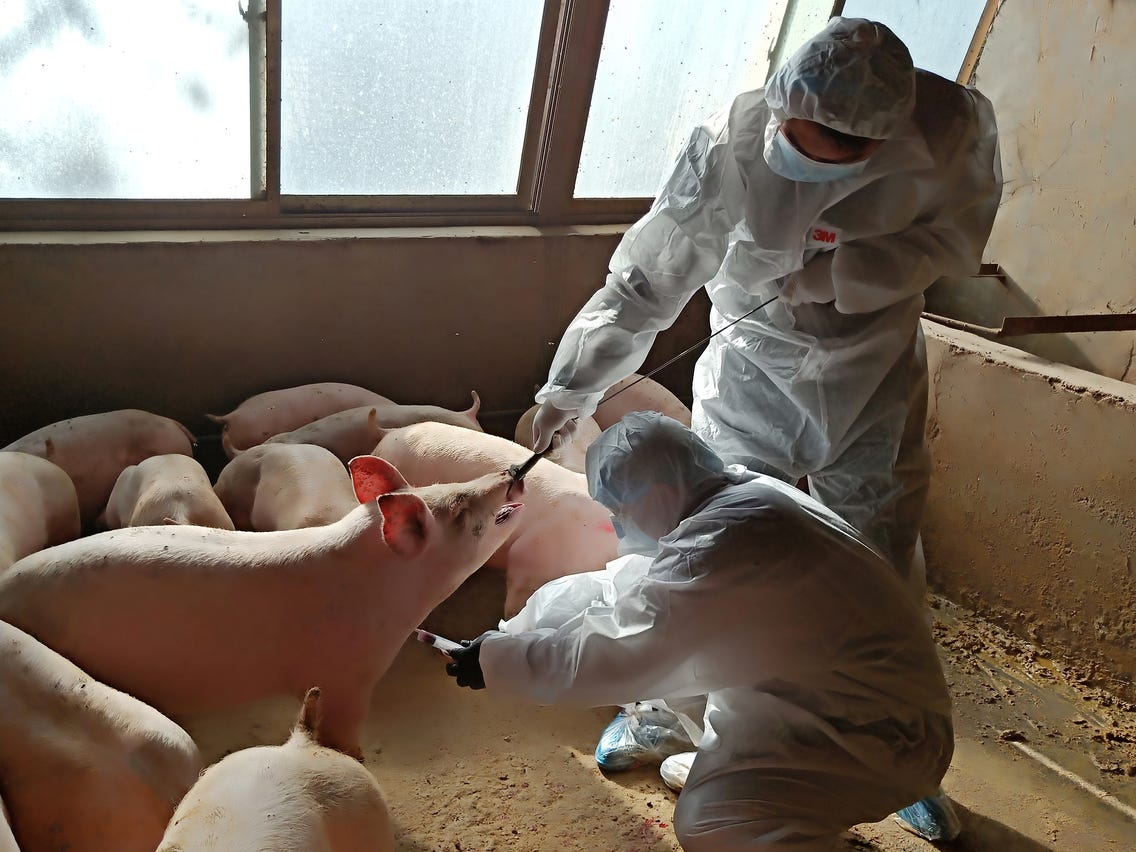 A new strain of influenza is among the major threats that experts are monitoring, while the world is still trying to end the current pandemic of the novel coronavirus.