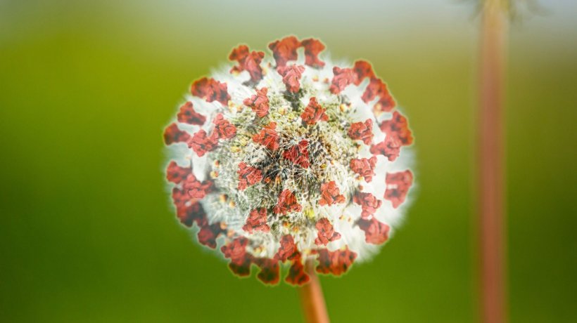 Airborne Transmission of Coronavirus