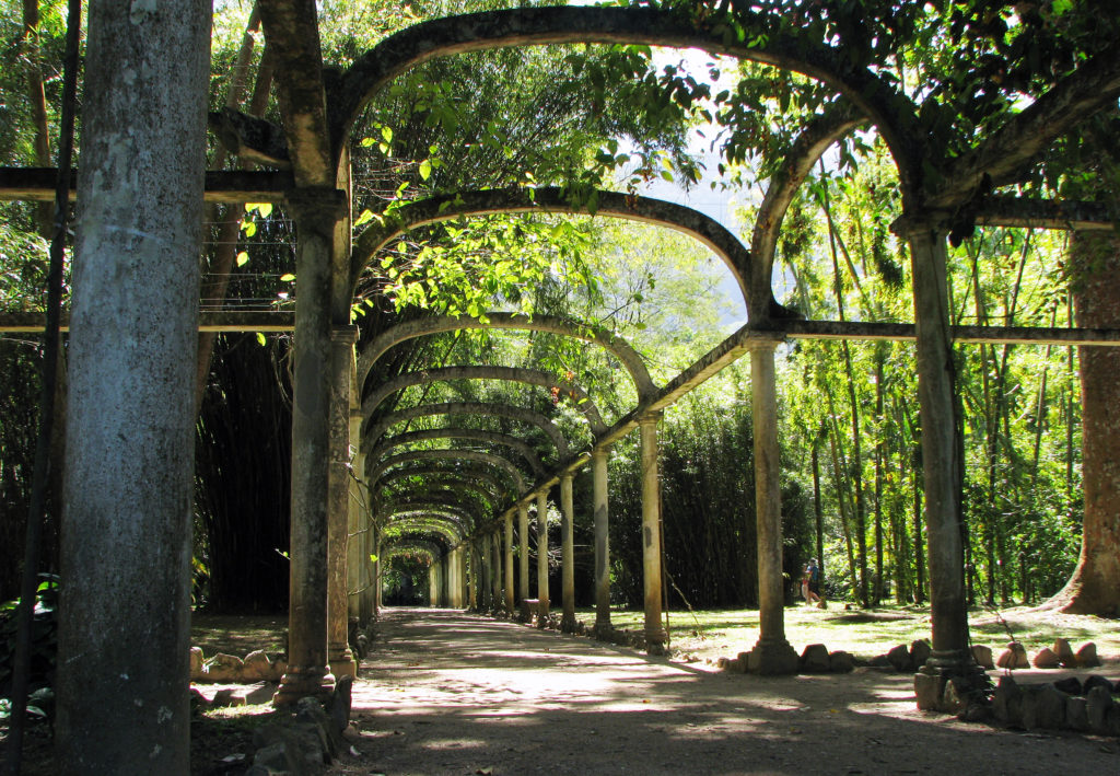 Regarding new features, the space will reopen the new Atlantic Forest trail, where visitors will learn about 27 species of the biome that covers the Garden's living collection.
