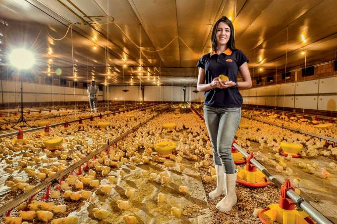 At the age of seven, rural producer Luciana Dalmagro, now 34, lived closely with the birds. She would spend every weekend on her family's farm in Batatais, in the São Paulo hinterland, created four generations before by her great-grandparents.