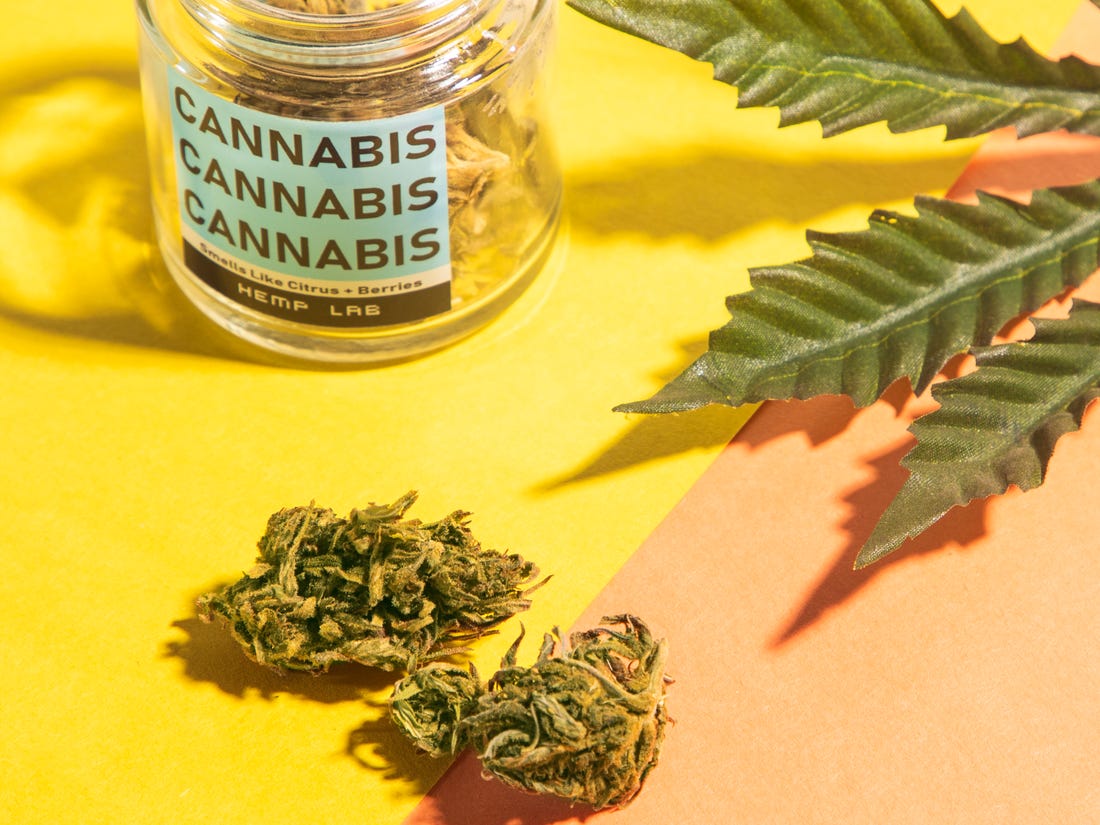 cannabis