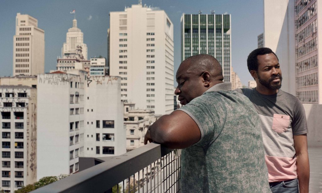 cidade-pássaro