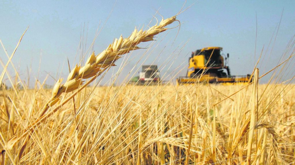 As of this month, the Brazilian government has authorized an extra 450,000 tons of wheat imports from other countries outside Mercosur without the ten percent Common External Tariff (TEC).