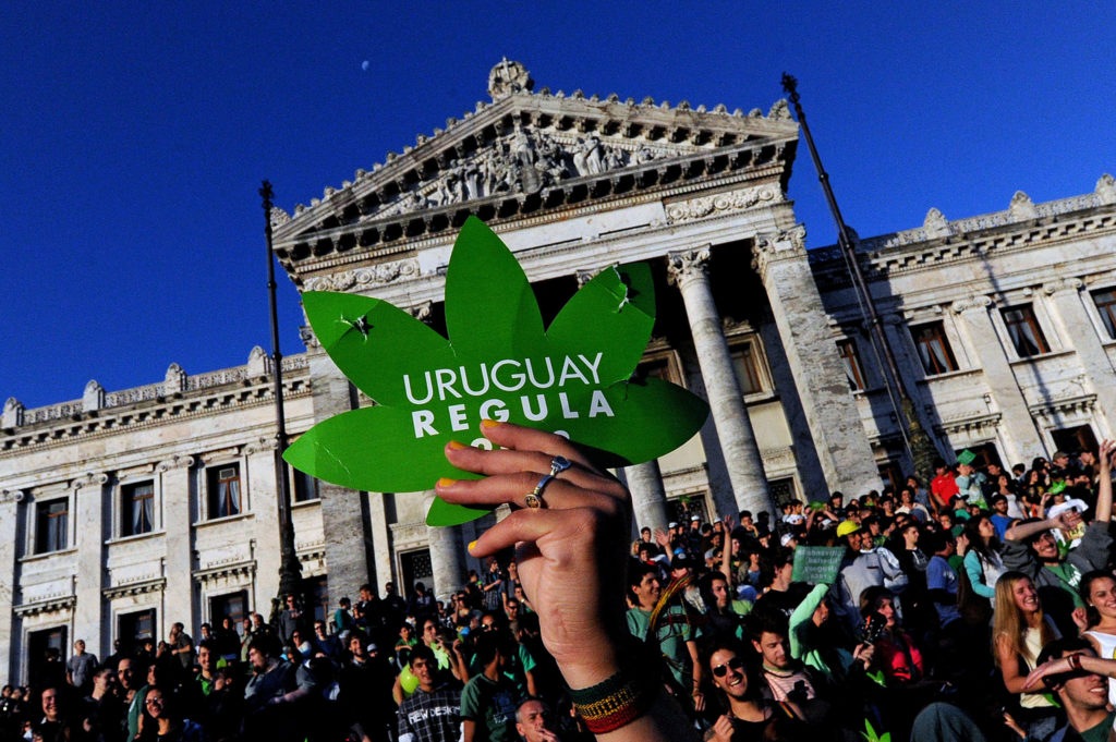 In December 2013, Uruguay became the first country in the world to fully legalize cannabis for "recreational purposes".