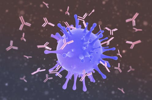 During a live stream on YouTube, Oxford University Professor John Bell said that people who were infected with the novel coronavirus in March may now be prone to re-infections. According to Bell, Covid-19 antibodies can be depleted by between ten and 30 percent every month and they "quickly vanish".