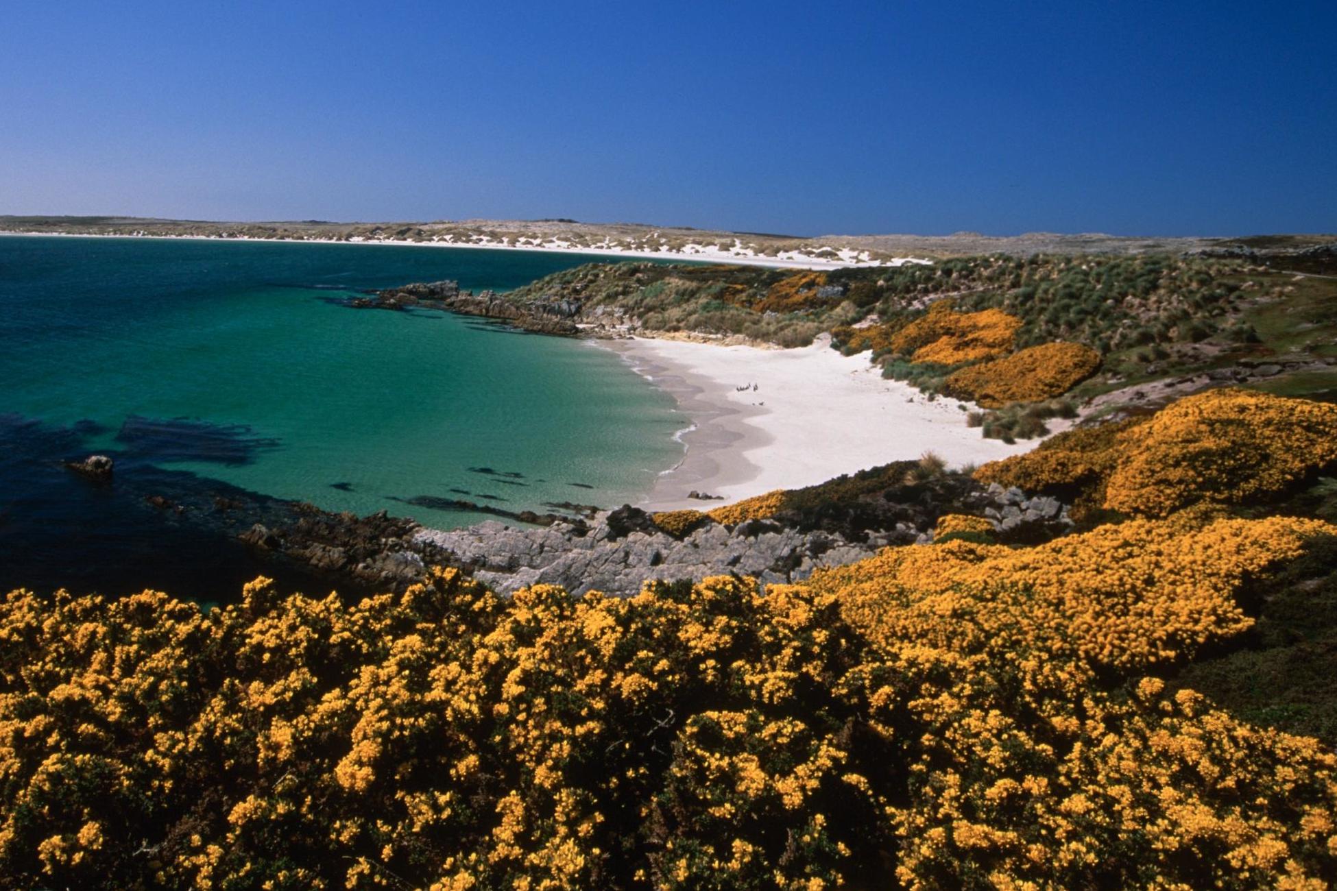 Argentina is planning to intensify its policy to claim sovereignty over the Falklands and other South Atlantic Islands with a road map that contemplates three immediate objectives, reinstate in the Organization of American States the claim, resurface the legal threat against oil companies operating in South Atlantic (Falklands) waters and put pressure on the European Union so that a post-Brexit trade agreement with the UK does not include the Falklands in the list of Overseas Territories.