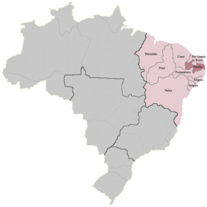Analysis: Jair Bolsonaro Courts Brazil’s Northeast Region Politicians, Voters