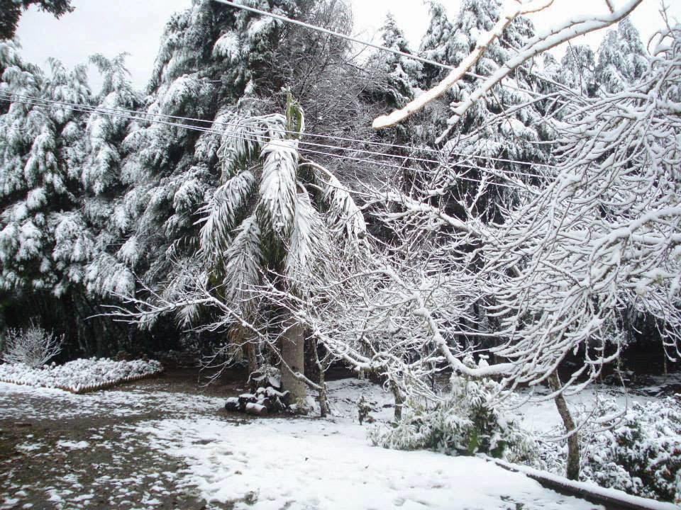 With the chance of snowing in Santa Catarina, there are no more vacancies in hotels and inns in the Mountain, which are limited to 50 percent occupancy due to the pandemic.