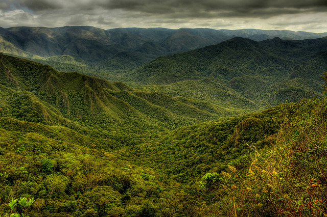 The deforestation of the Atlantic Forest in the first six months of 2020 is now higher than in the whole of last year.